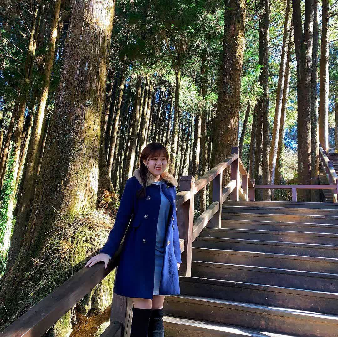 阿里山國家森林遊樂區 | 去趣 chicTrip