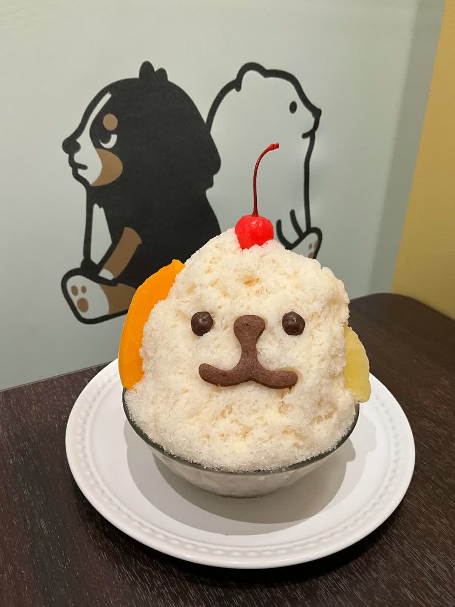 YOCADO鹿兒島 | 去趣 chicTrip