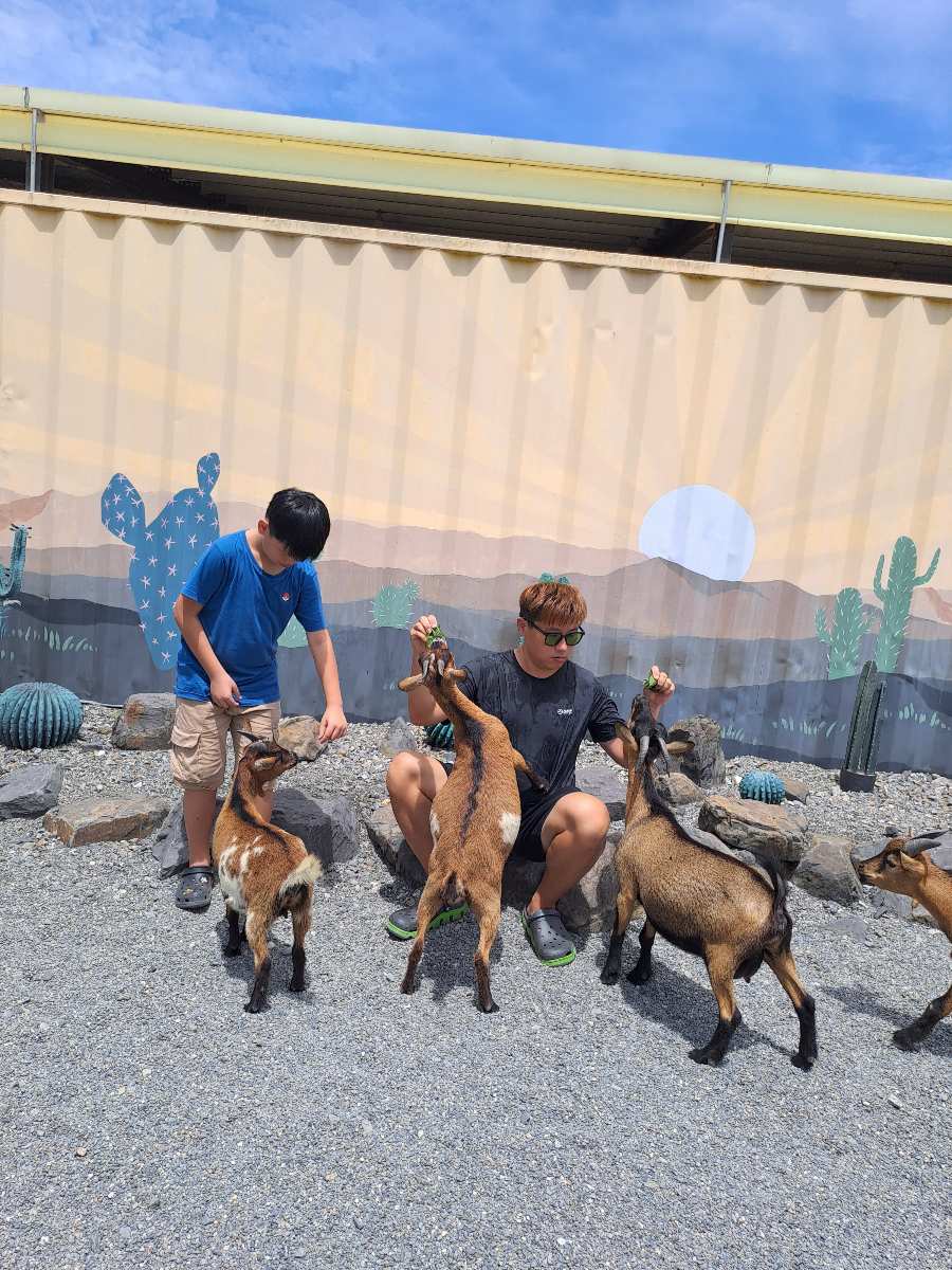 回巢農場 | 去趣 chicTrip