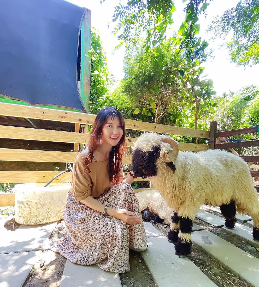 哈比丘茶樹森林 | 去趣 chicTrip