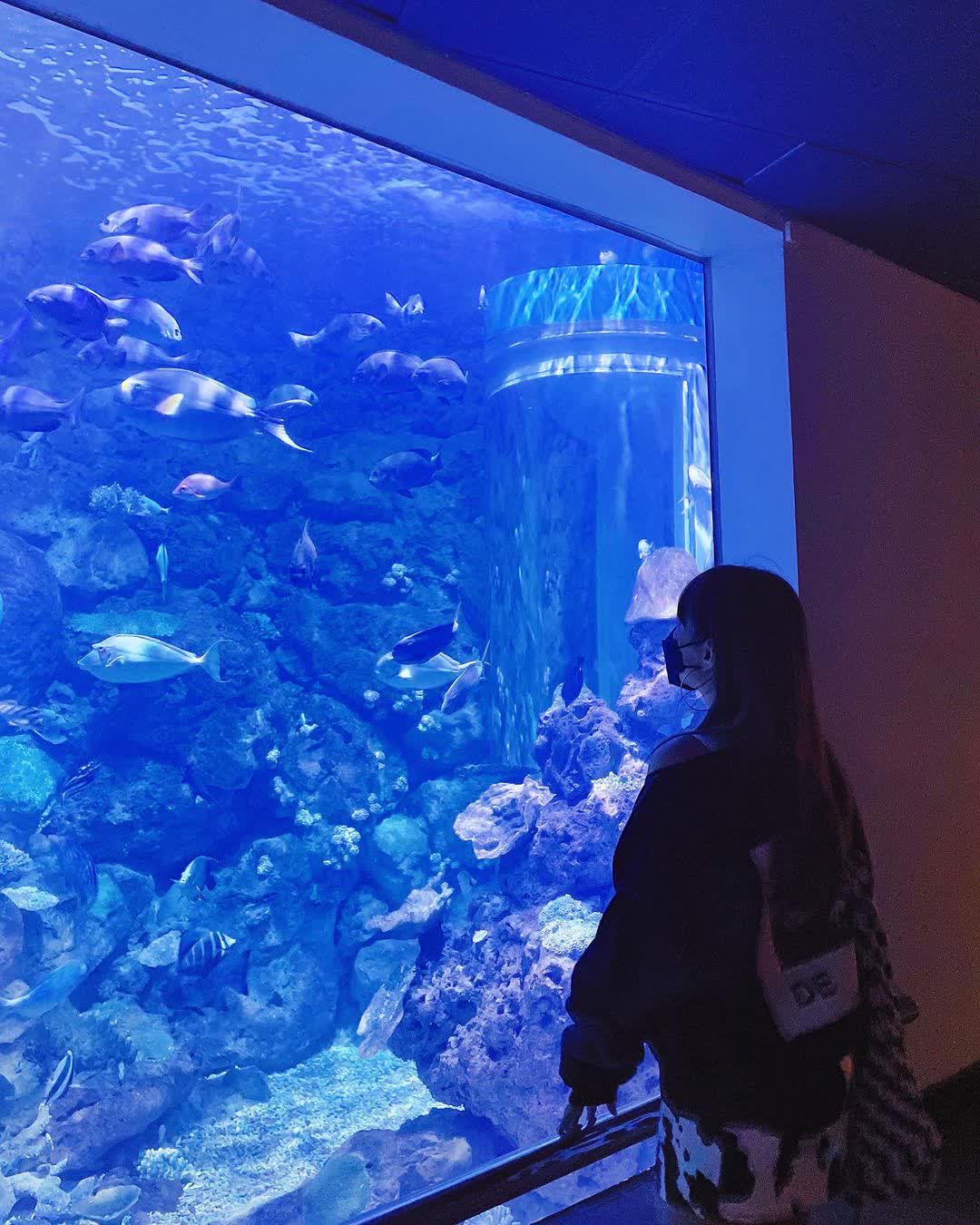 國立海洋生物博物館 | 去趣 chicTrip