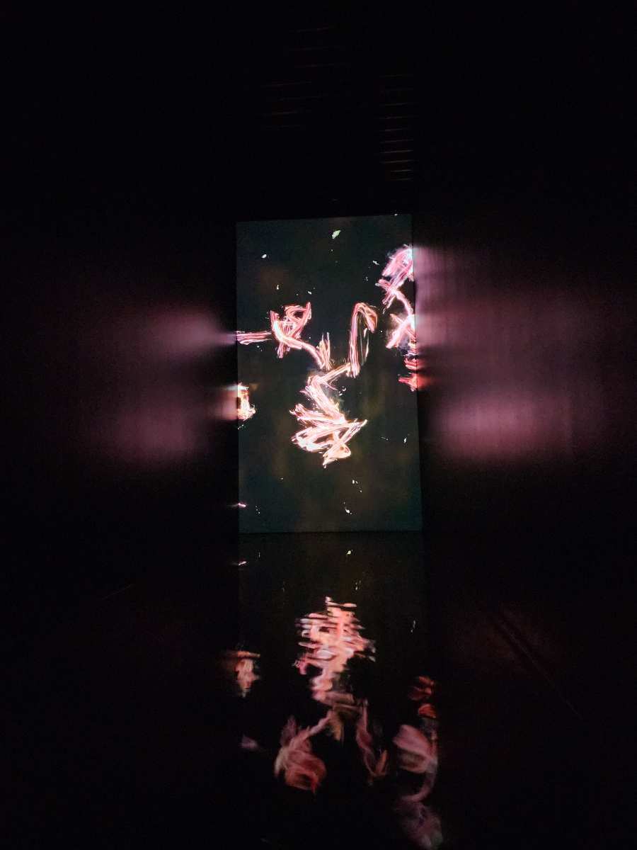 teamLab Planets TOKYO DMM | 去趣 chicTrip