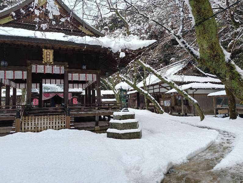 金崎宮 | 去趣 chicTrip