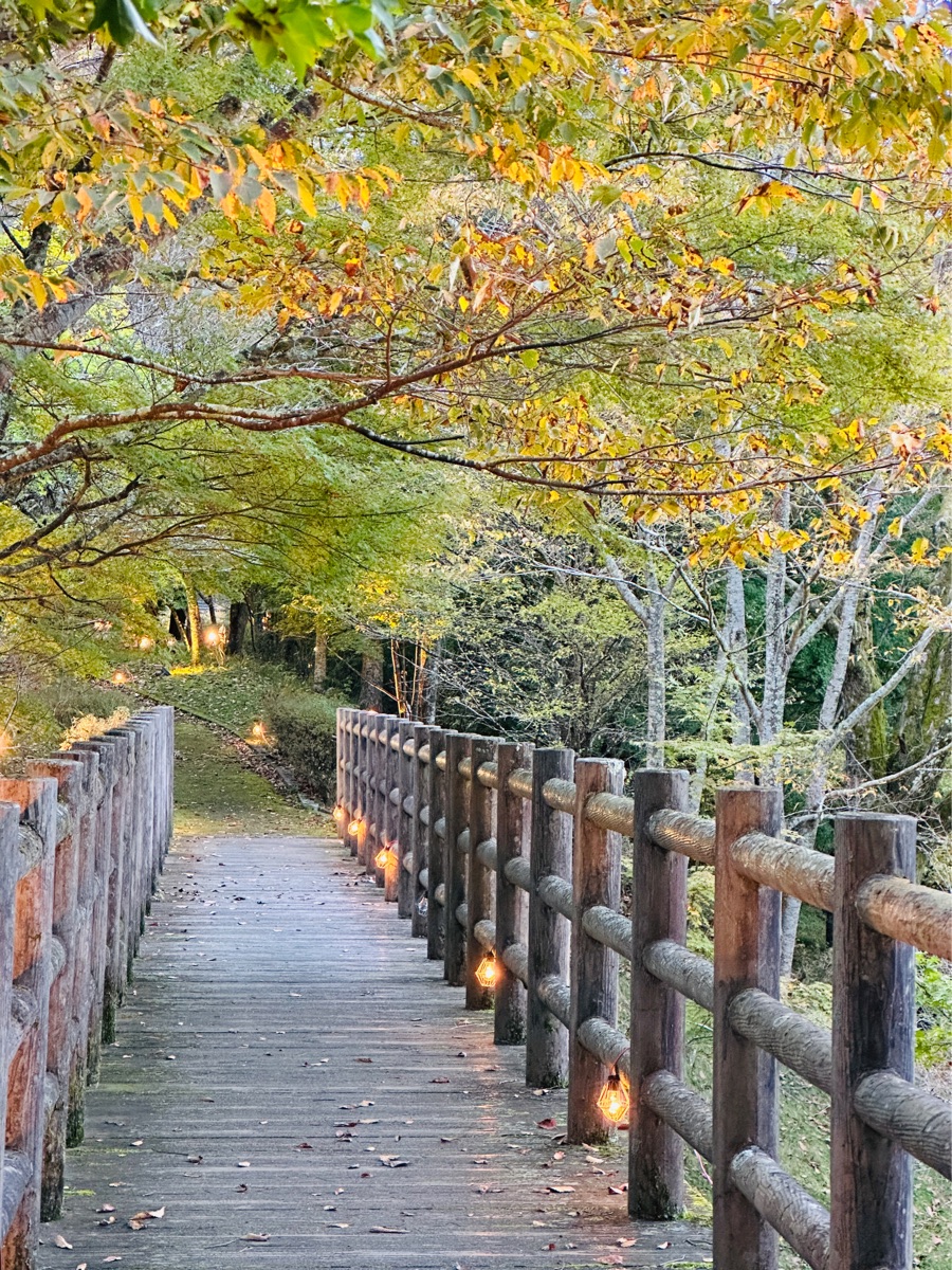 旭日丘湖畔緑地公園 | 去趣 chicTrip