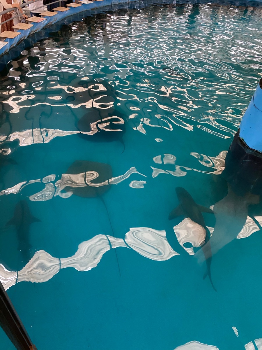 金車生技水產養殖研發中心 | 去趣 chicTrip