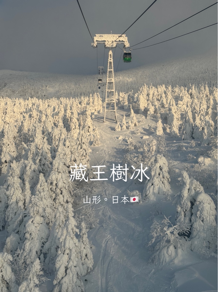 藏王纜車 樹冰高原站 | 去趣 chicTrip