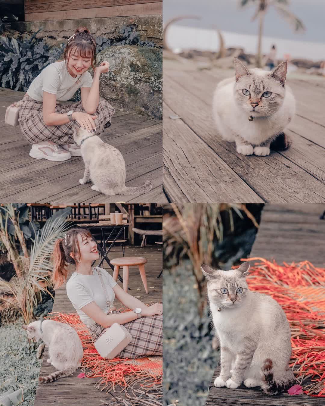 項鍊海岸工作室★餐廳★咖啡★弟朋★德菲兒 | 去趣 chicTrip
