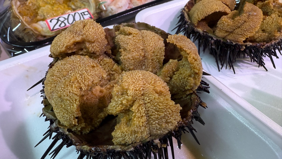 函館朝市 | 去趣 chicTrip