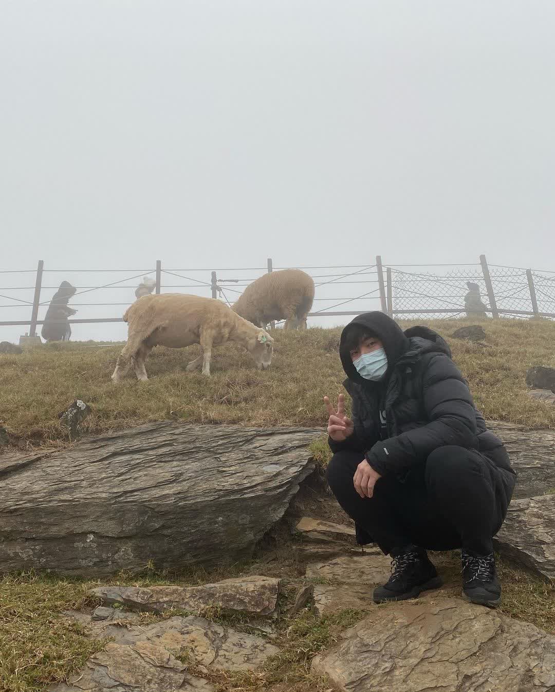 清境農場青青草原 | 去趣 chicTrip