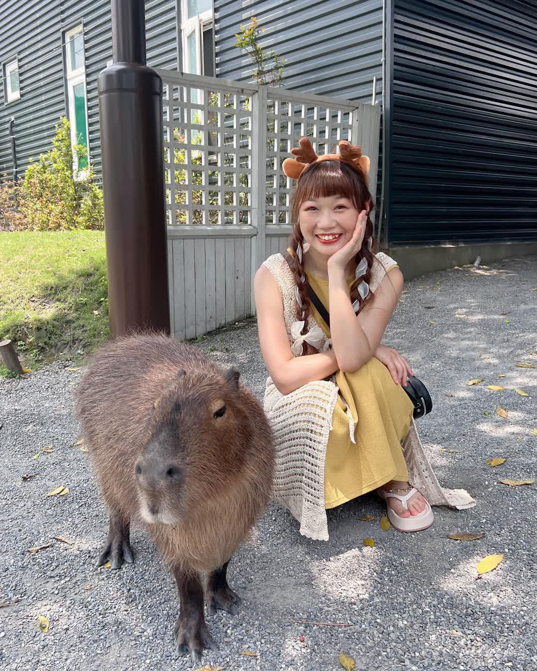 宜蘭-斑比山丘 | 去趣 chicTrip