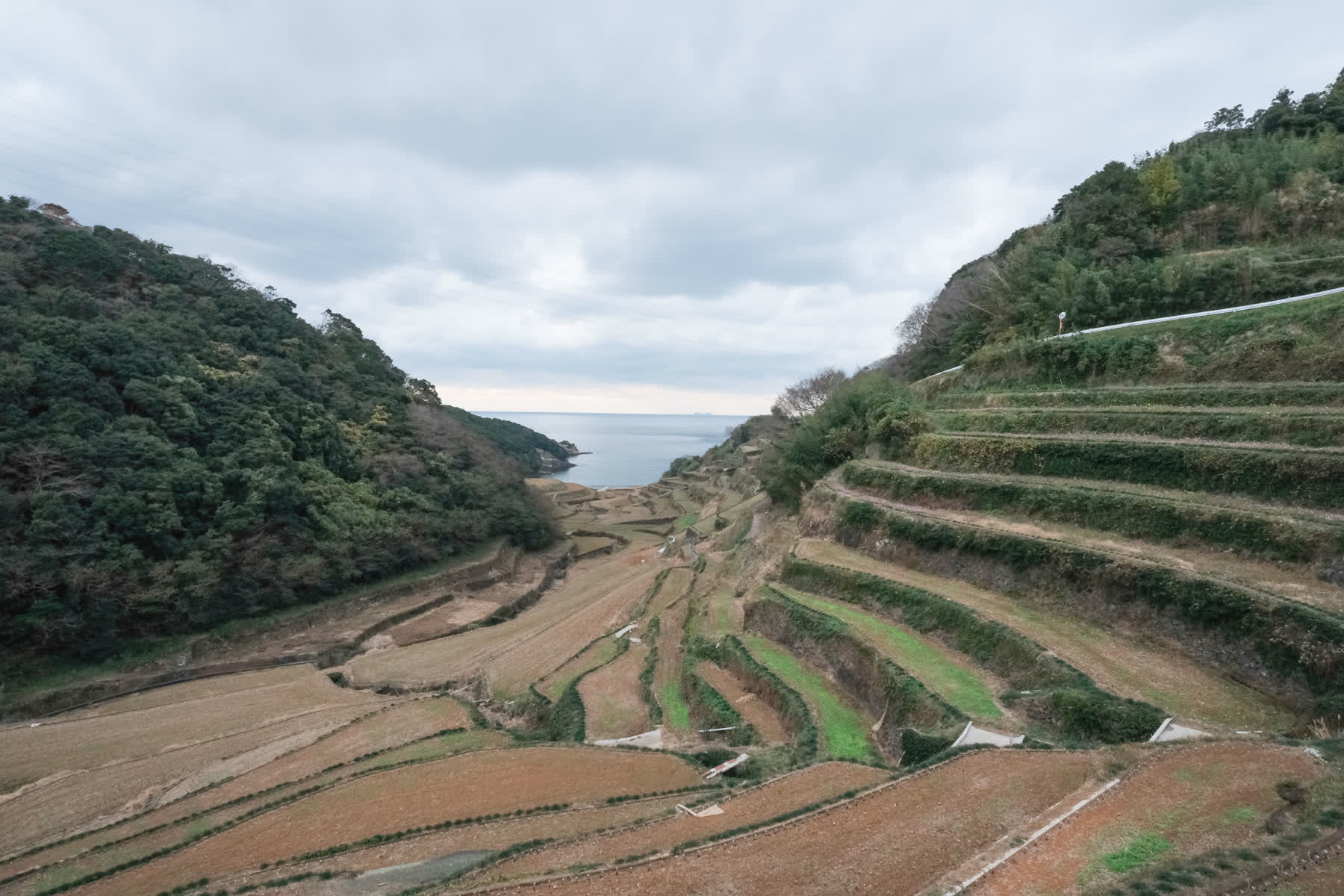 濱野浦梯田展望台 | 去趣 chicTrip