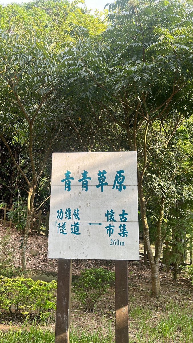 青青草原 | 去趣 chicTrip