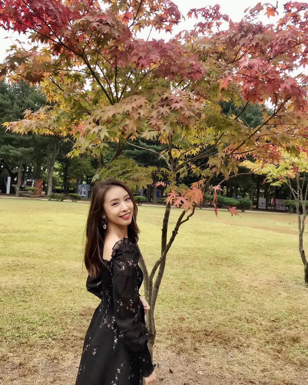 南怡島남이섬 | 去趣 chicTrip