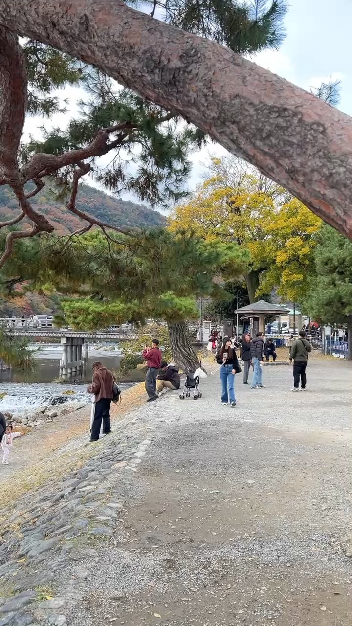 渡月橋 | 去趣 chicTrip