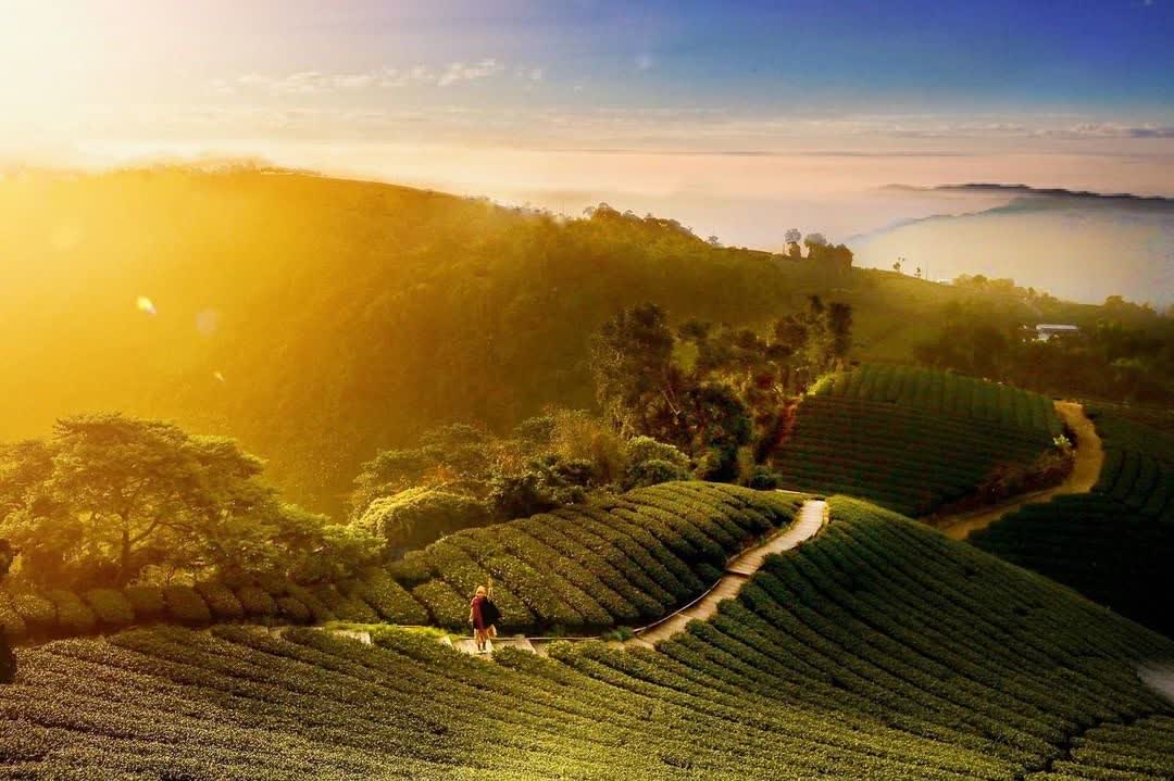 一三一四觀景台 | 去趣 chicTrip