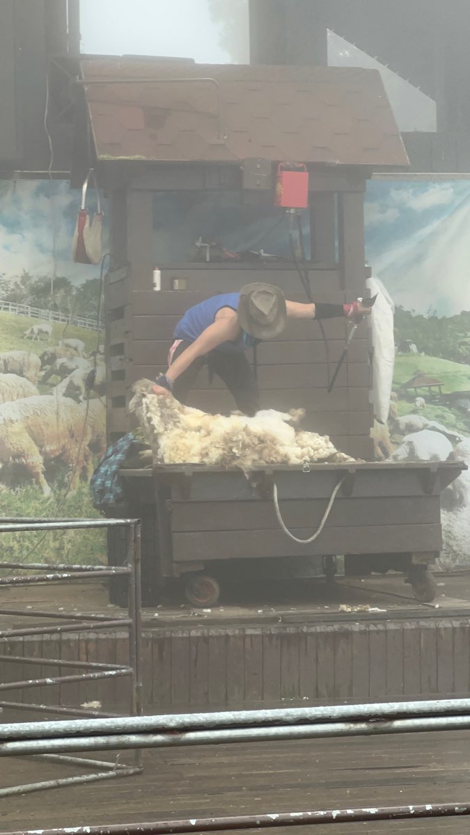 清境農場觀山牧區 | 去趣 chicTrip