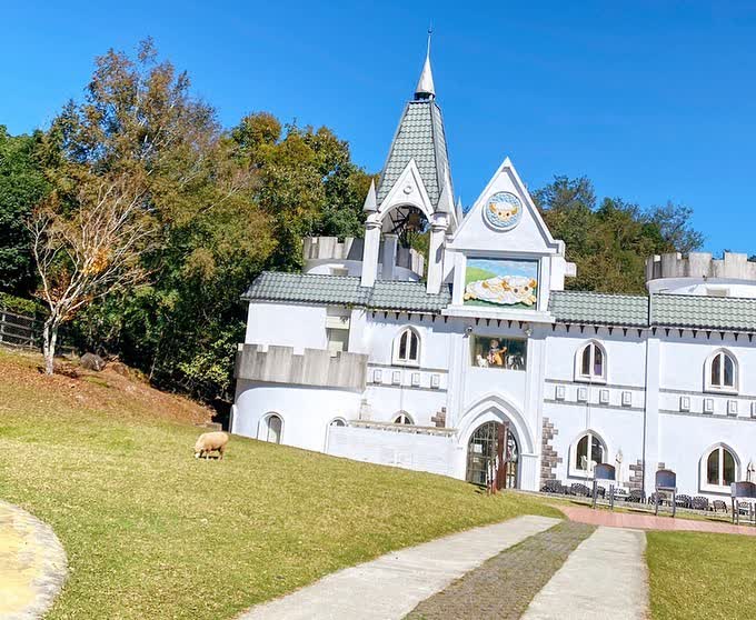 清境農場綿羊秀 | 去趣 chicTrip