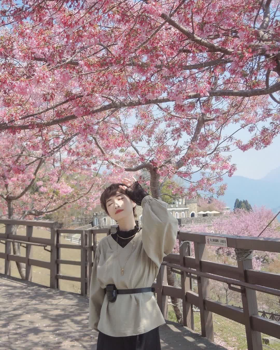 清境農場青青草原 | 去趣 chicTrip