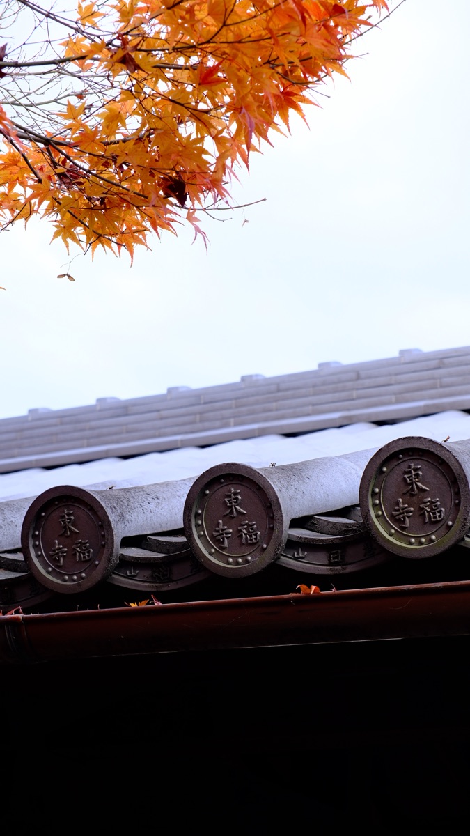 東福寺 | 去趣 chicTrip