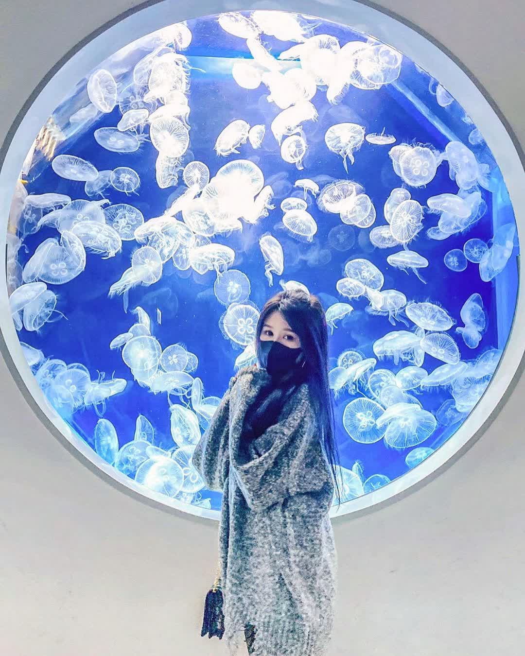 Xpark 水族館 | 去趣 chicTrip