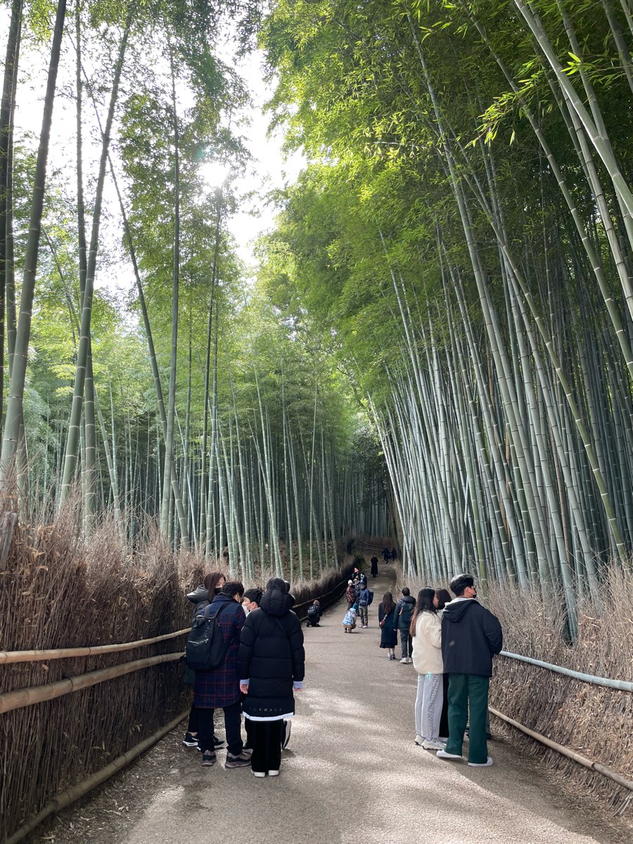 嵐山竹林小徑 | 去趣 chicTrip