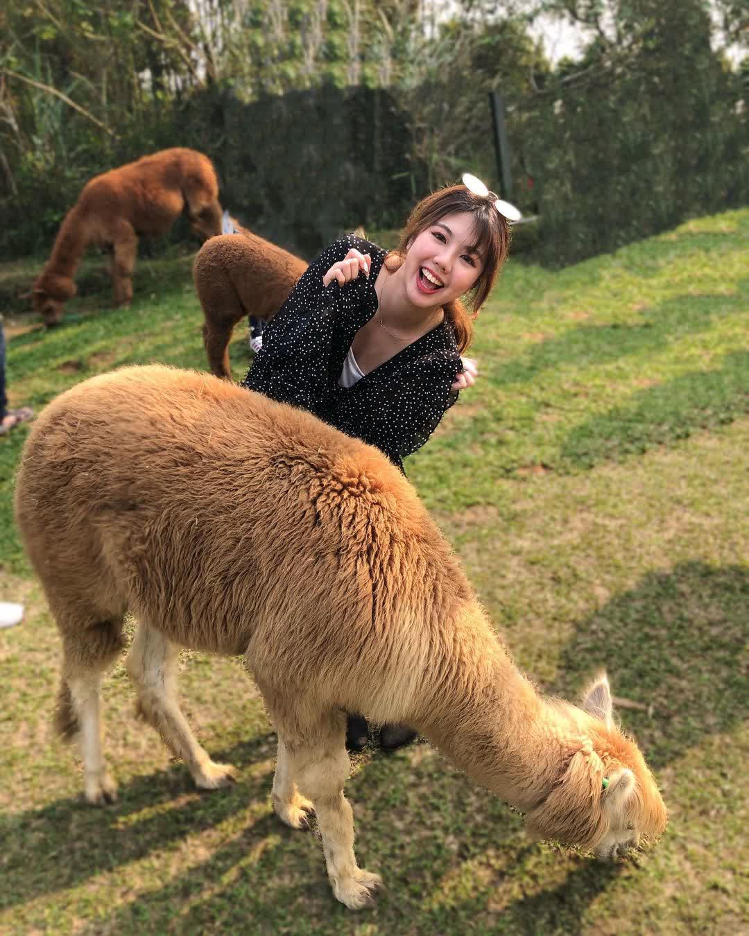 綠世界生態農場 | 去趣 chicTrip