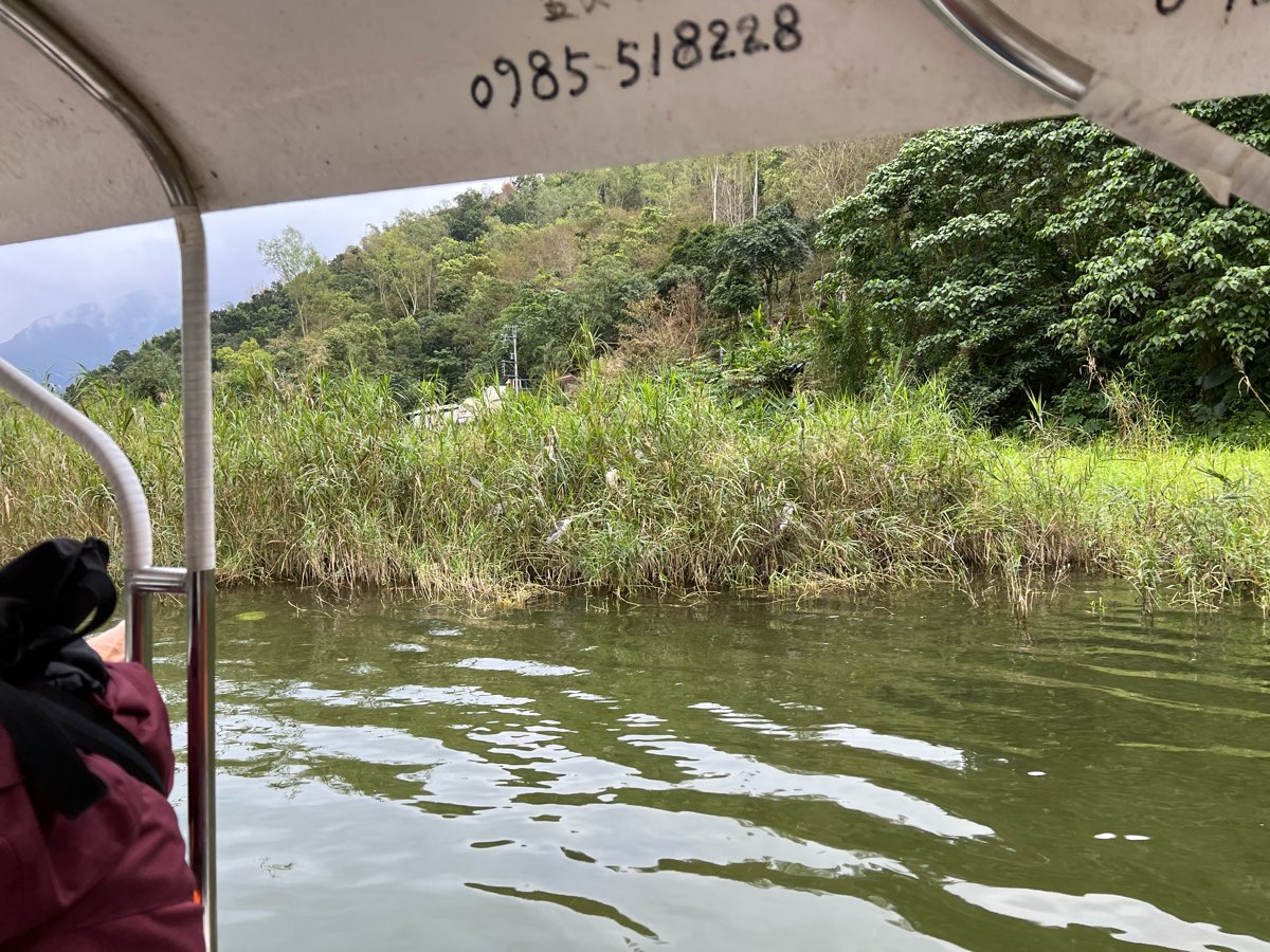 鯉魚潭 | 去趣 chicTrip