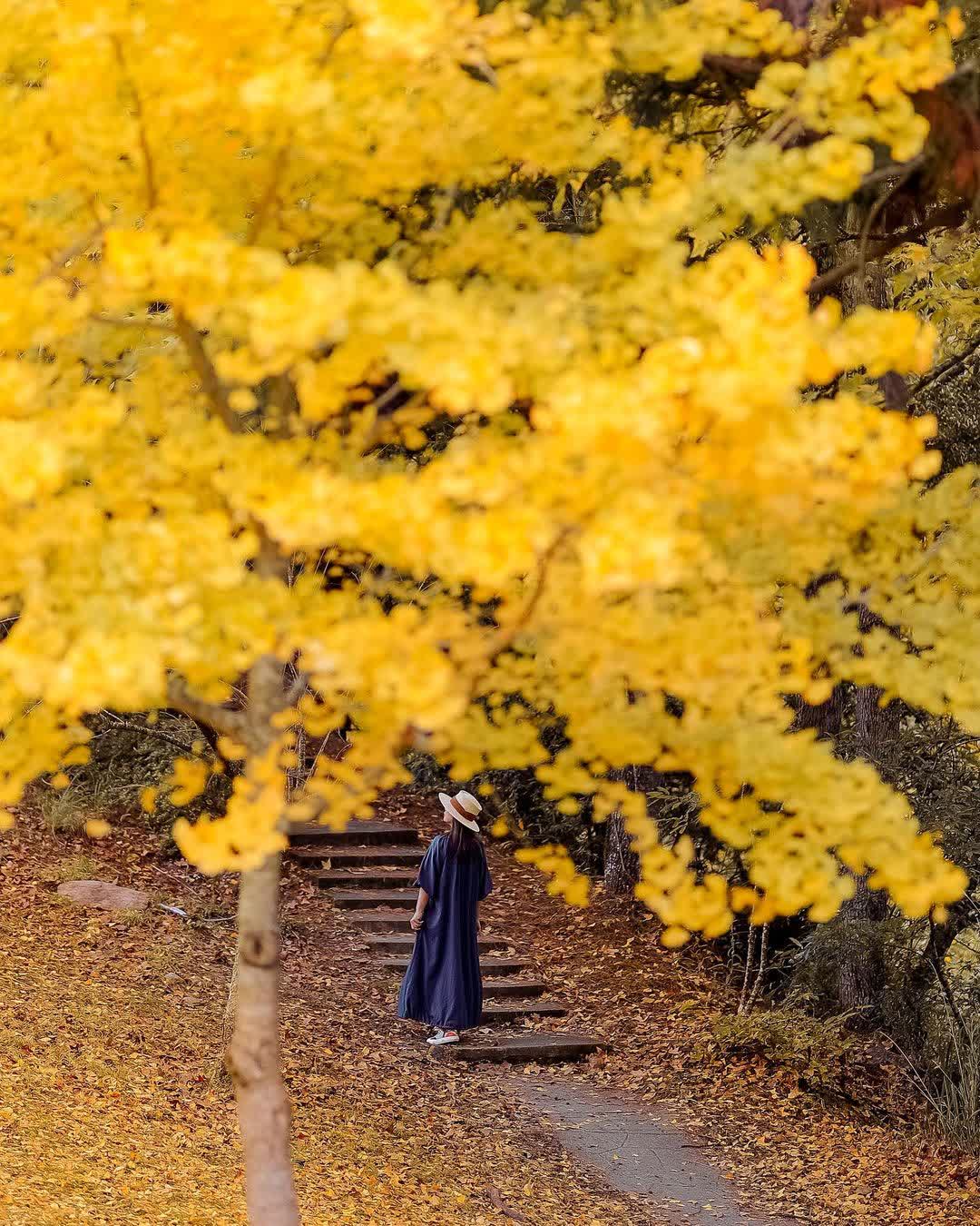 武陵農場 | 去趣 chicTrip