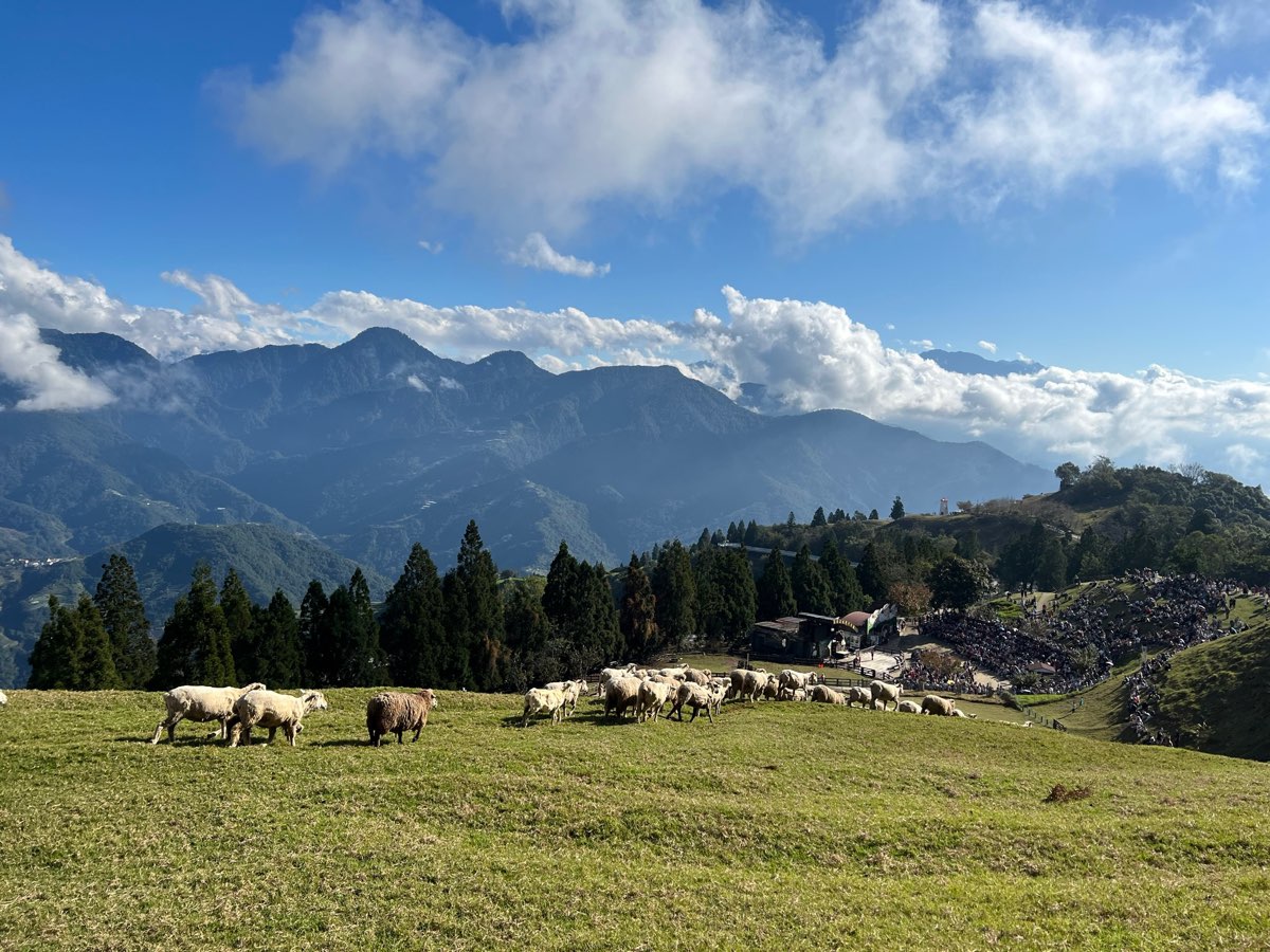 清境農場青青草原 | 去趣 chicTrip