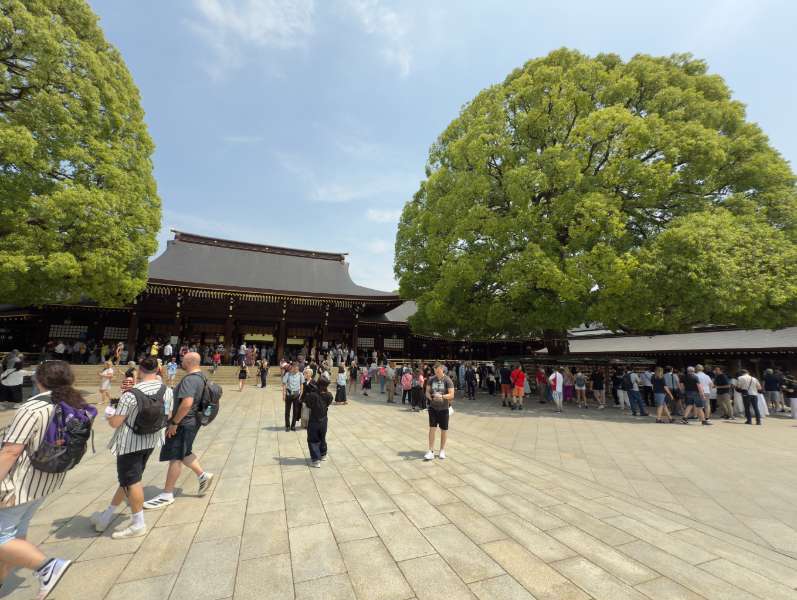 明治神宮 | 去趣 chicTrip