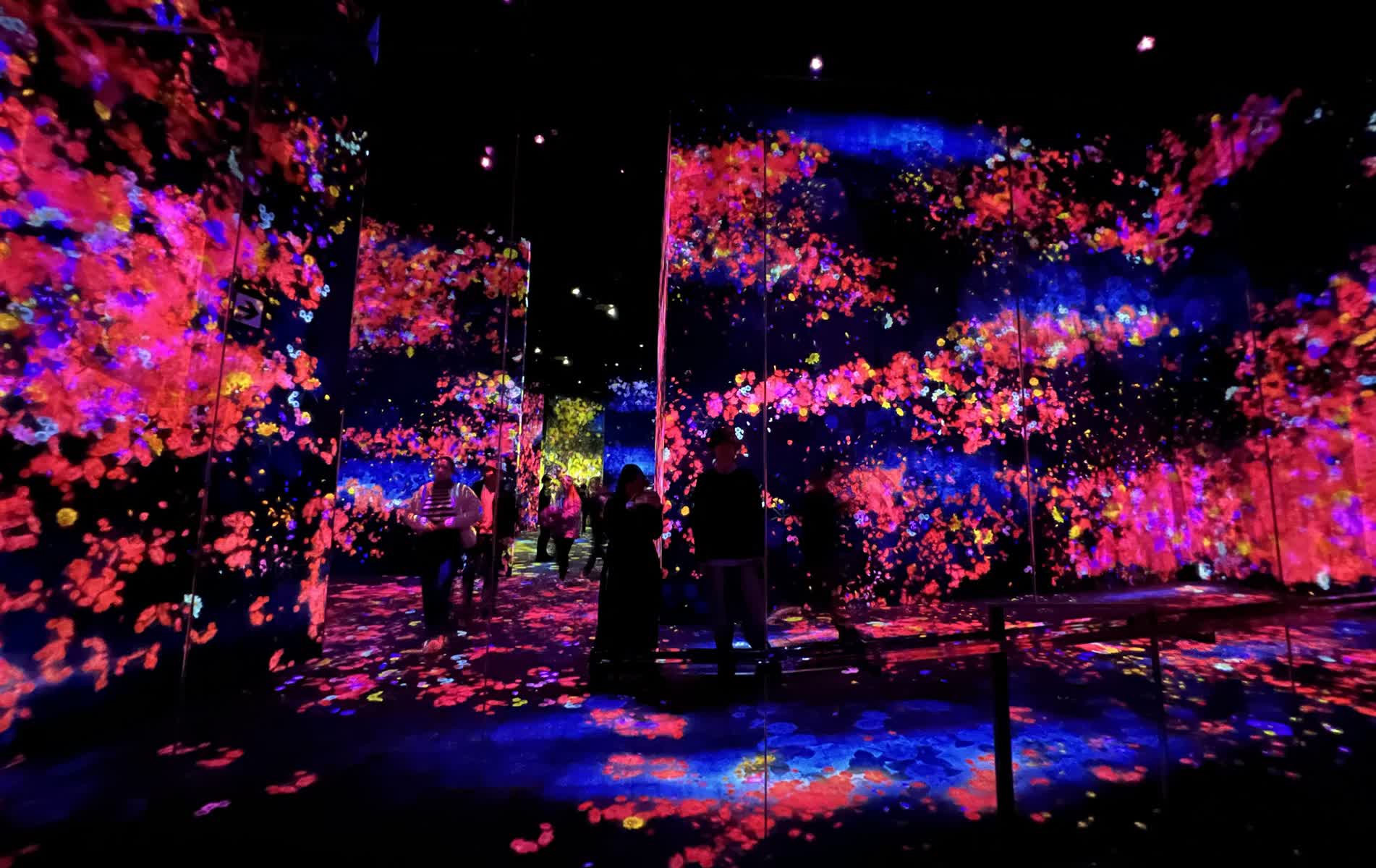 teamLab Borderless 數位藝術美術館 | 去趣 chicTrip
