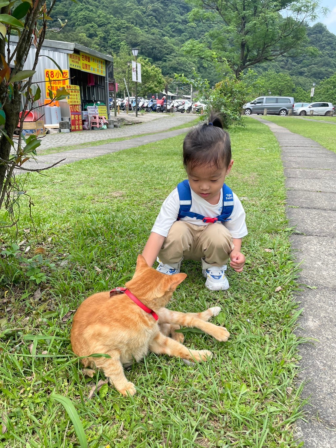 猴硐貓村 | 去趣 chicTrip