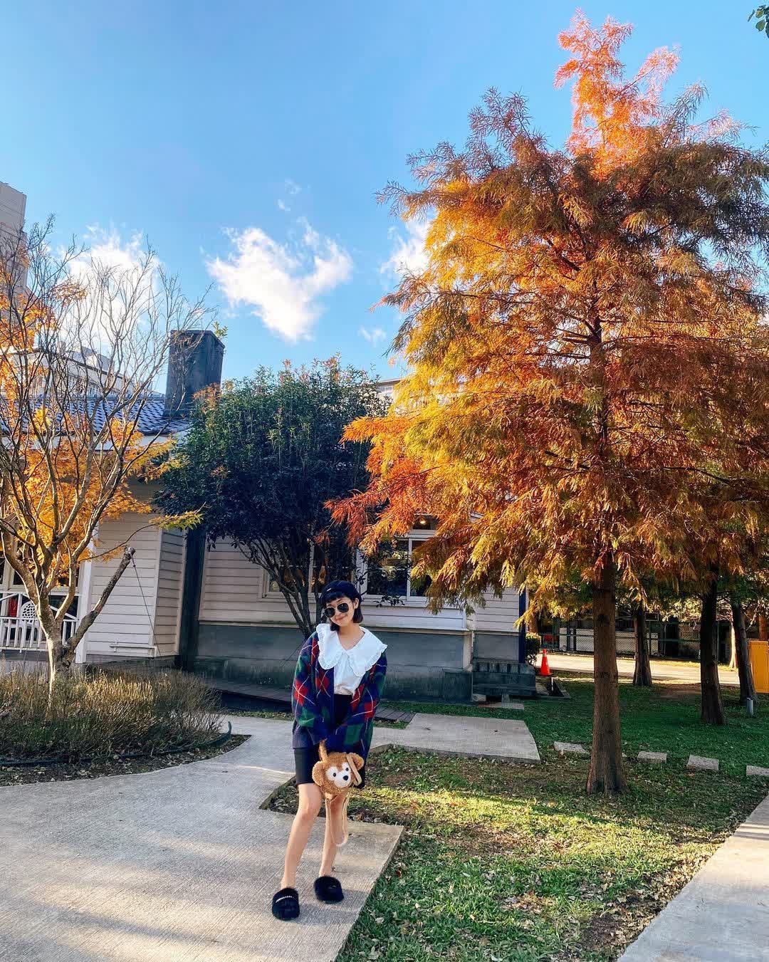 陽明山 | 去趣 chicTrip