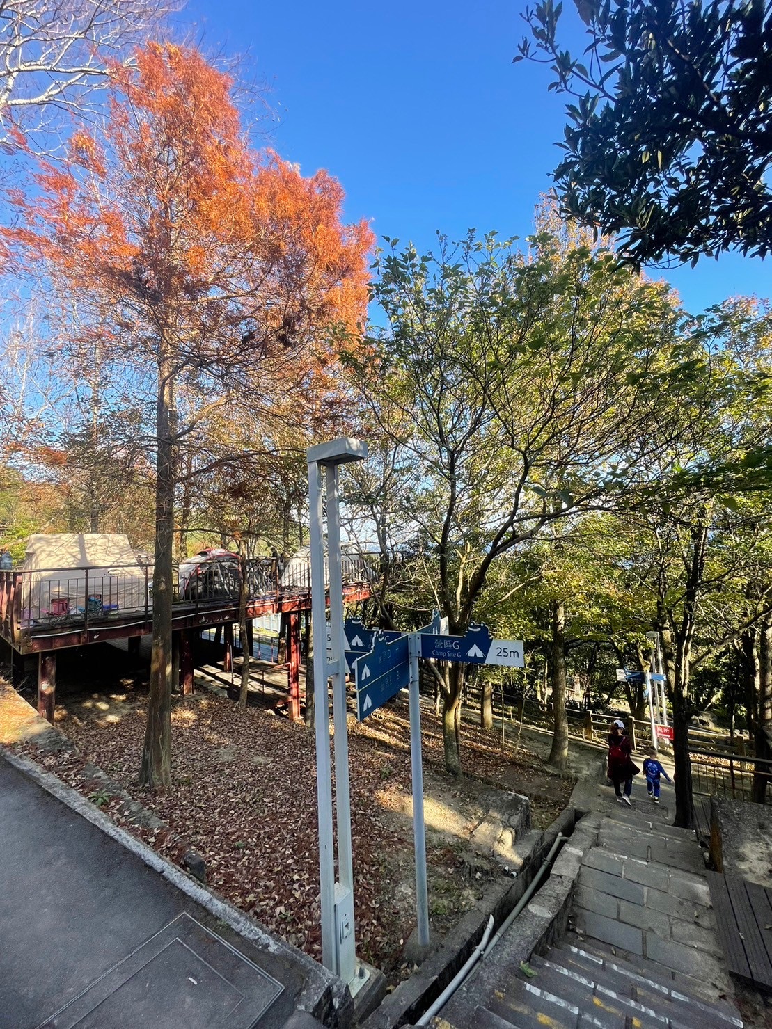 碧山露營場 | 去趣 chicTrip