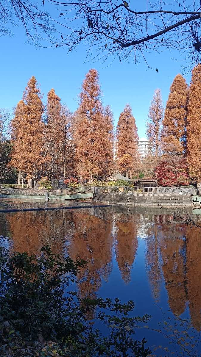 井之頭恩賜公園 | 去趣 chicTrip