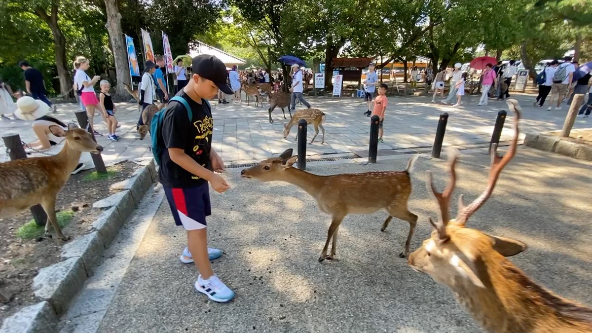 名勝奈良公園 石碑 | 去趣 chicTrip