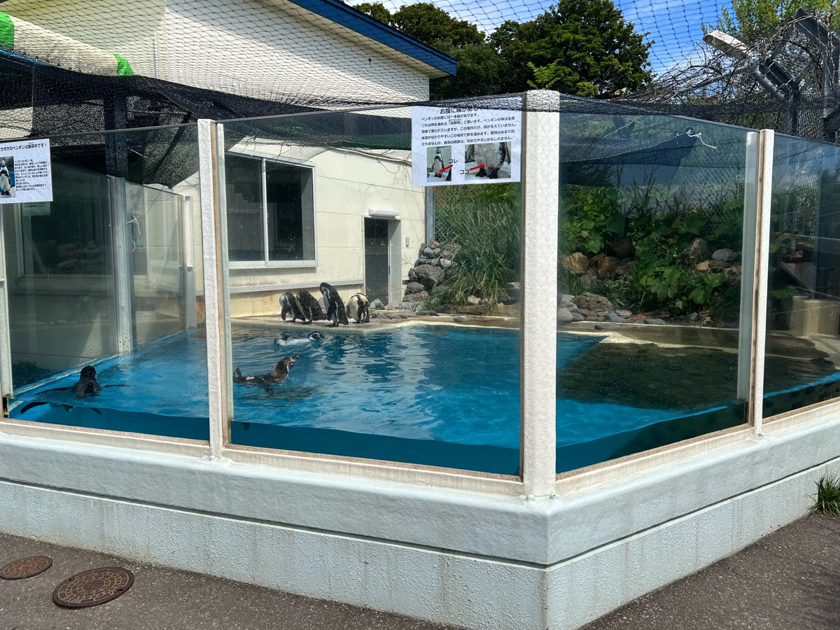 小樽水族館 | 去趣 chicTrip