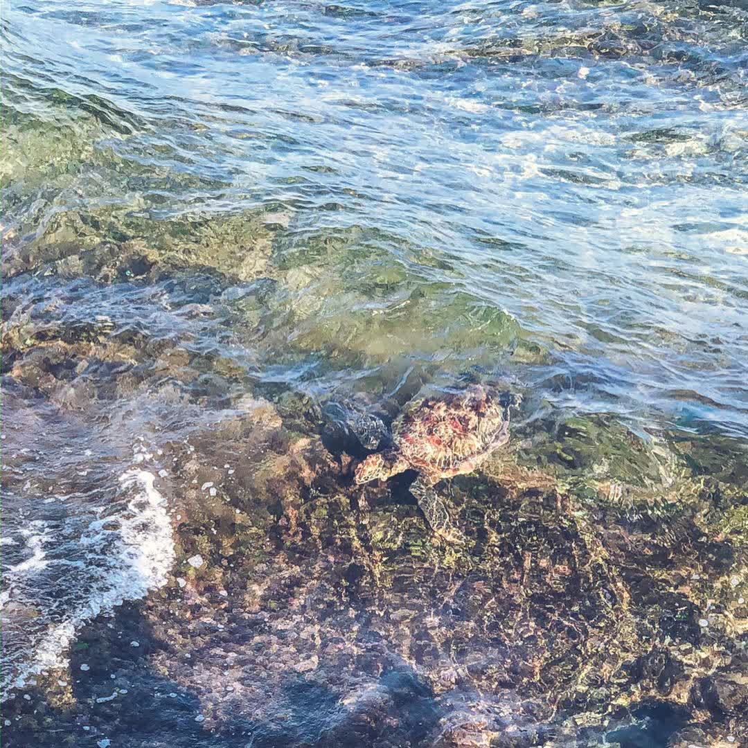 龍蝦洞 | 去趣 chicTrip