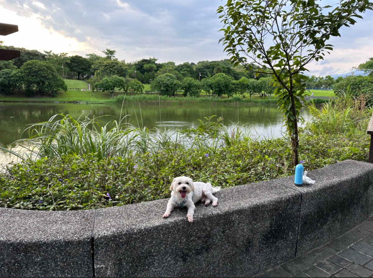 南港公園 | 去趣 chicTrip