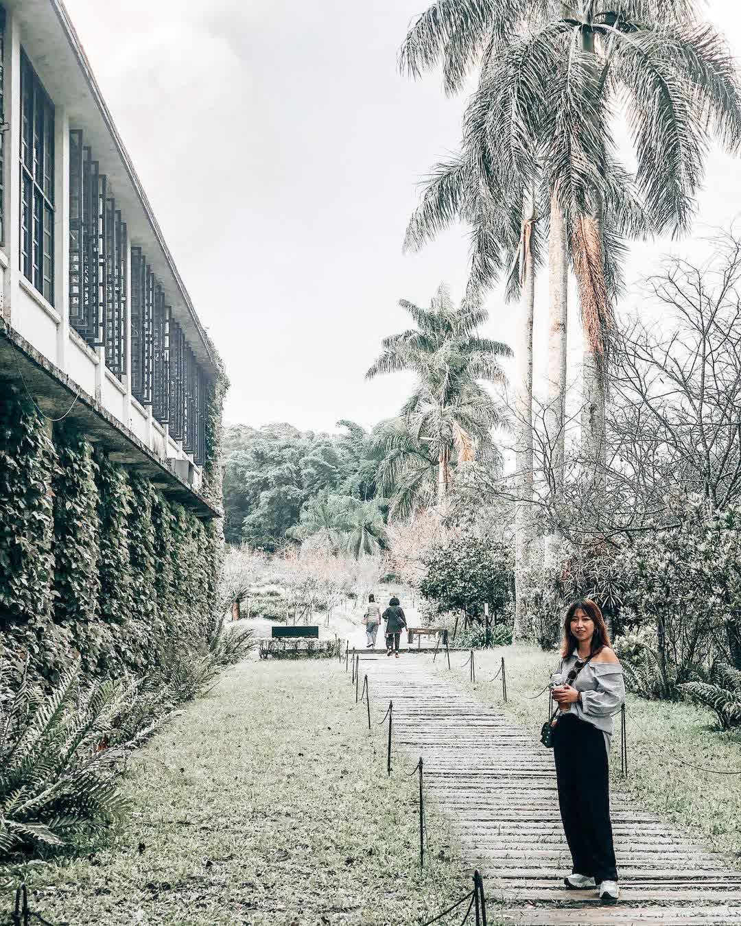 日月老茶廠 | 去趣 chicTrip