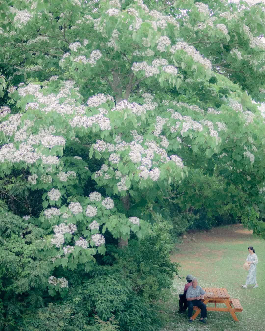 臺灣客家文化館 | 去趣 chicTrip