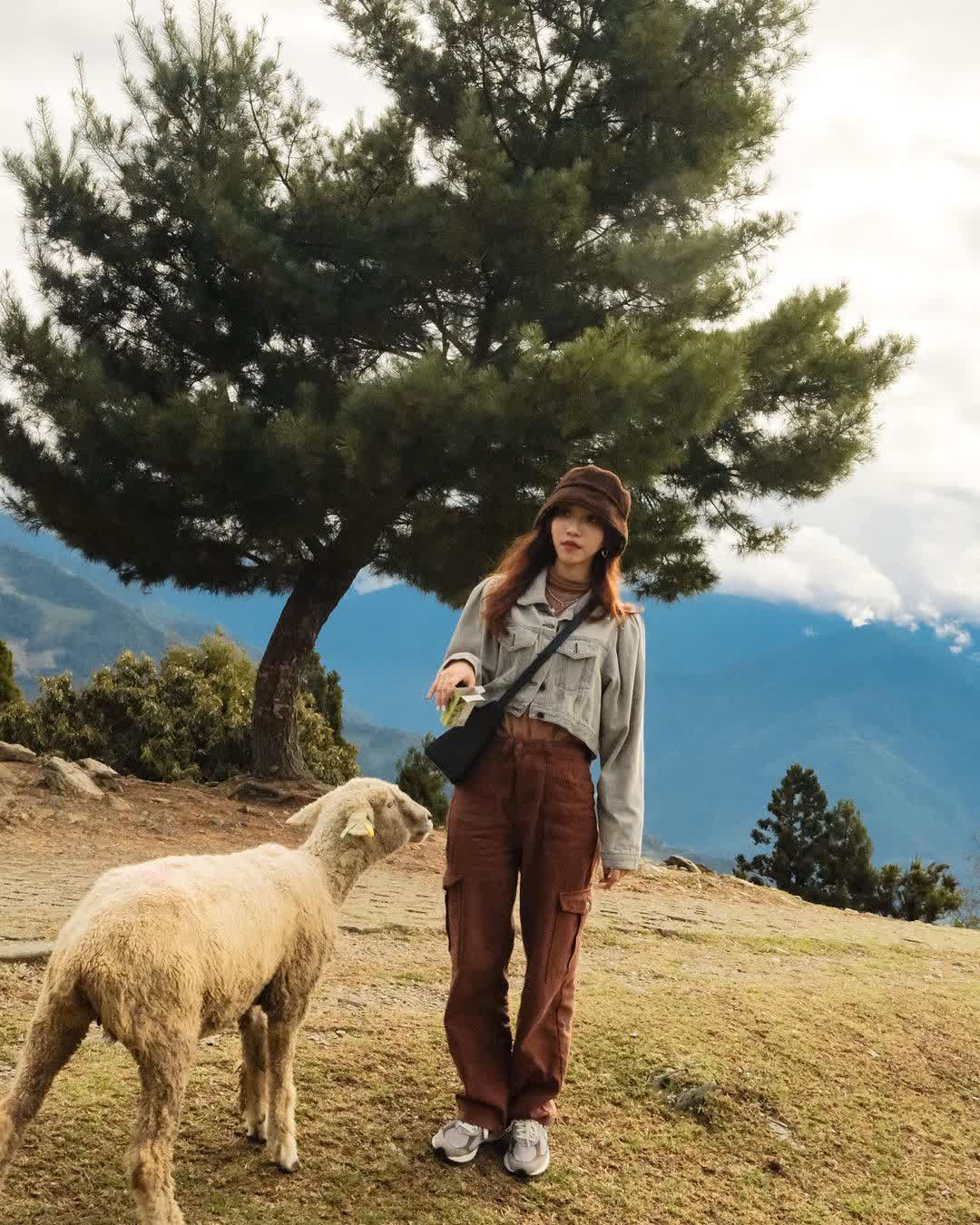 清境農場青青草原 | 去趣 chicTrip