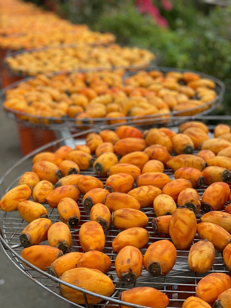 味衛佳柿餅教育農園 | 去趣 chicTrip