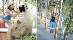 咩咩上樹萌寵樂園 | 去趣 chicTrip