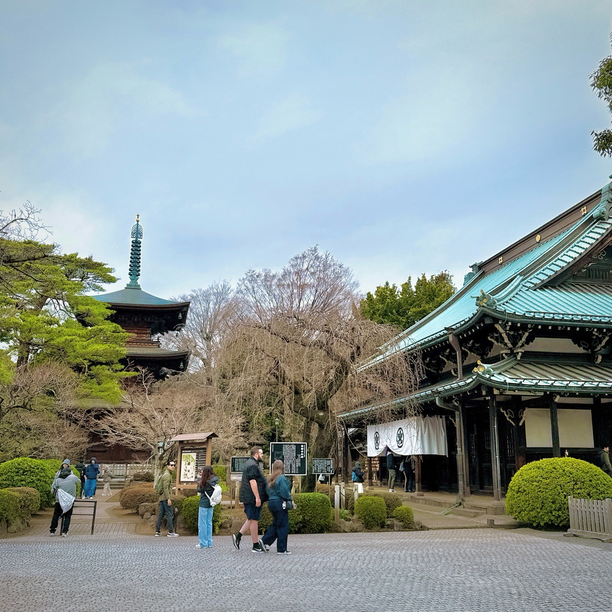 世田谷 豪德寺 | 去趣 chicTrip