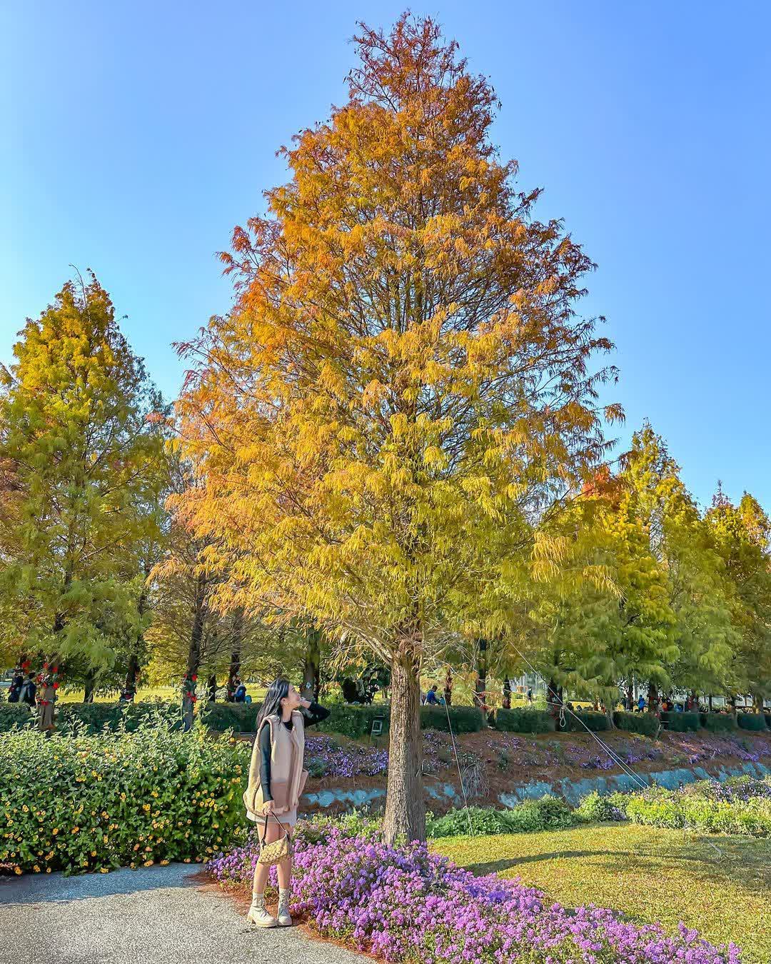 成美文化園 | 去趣 chicTrip