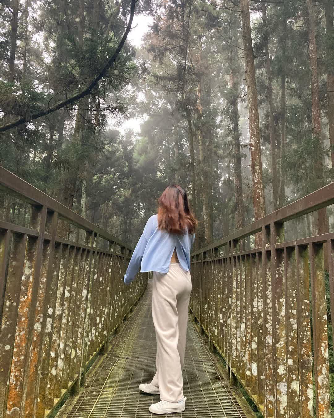 溪頭自然教育園區 | 去趣 chicTrip