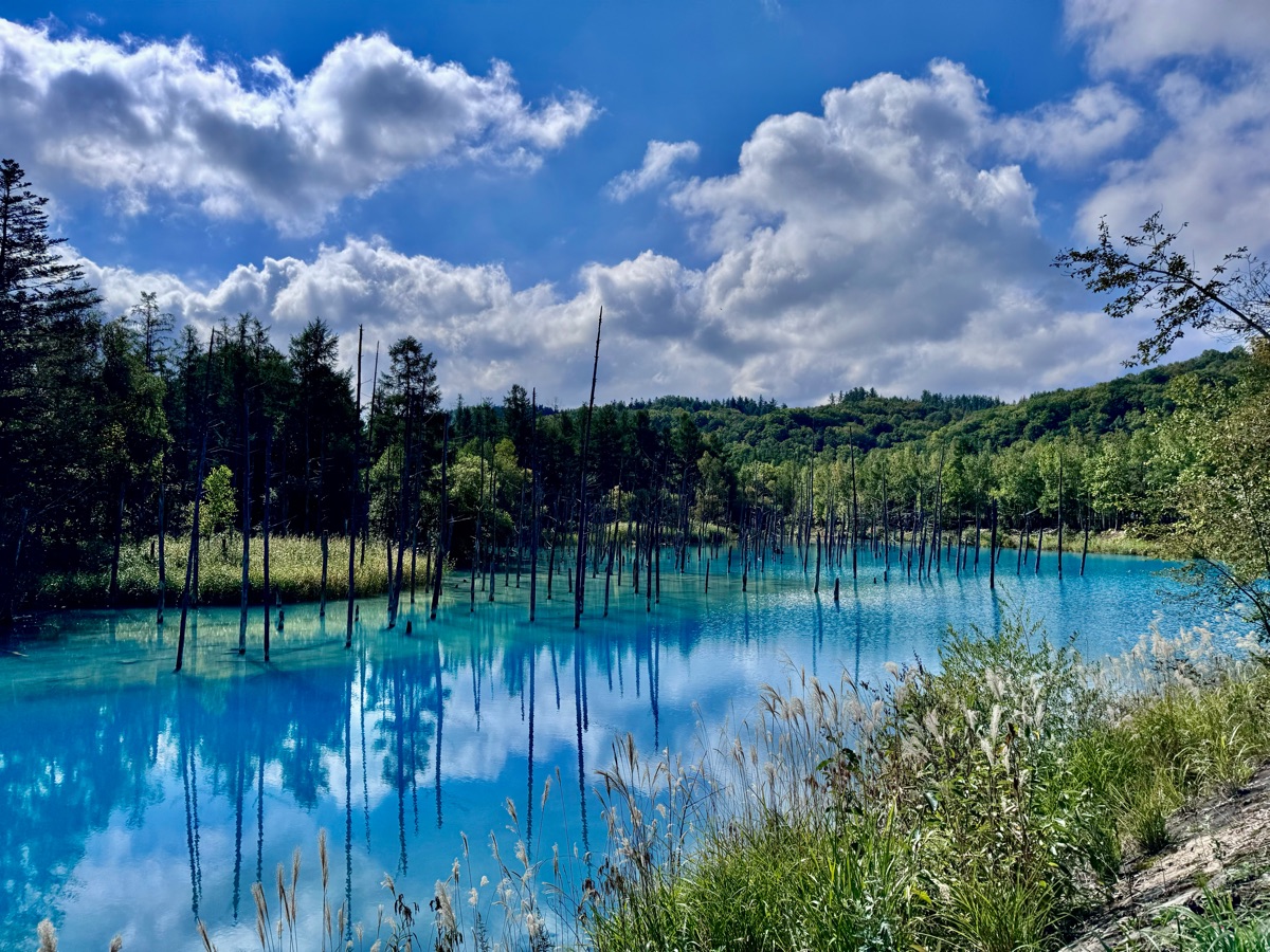 白金青池 | 去趣 chicTrip