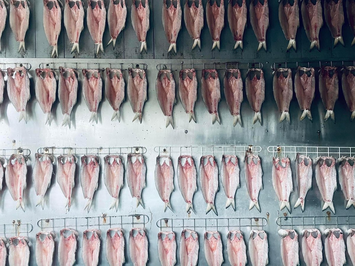 食不厭（一夜干專賣）無預約 | 去趣 chicTrip