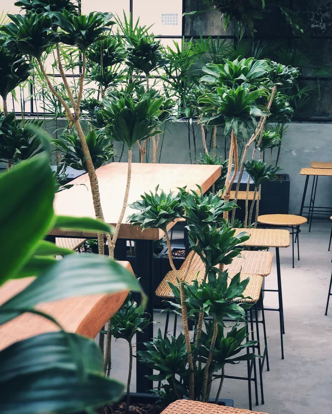 南埕衖事 | 去趣 chicTrip